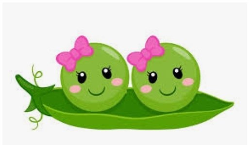 Week 6 – Sweet&nbsp;Pea