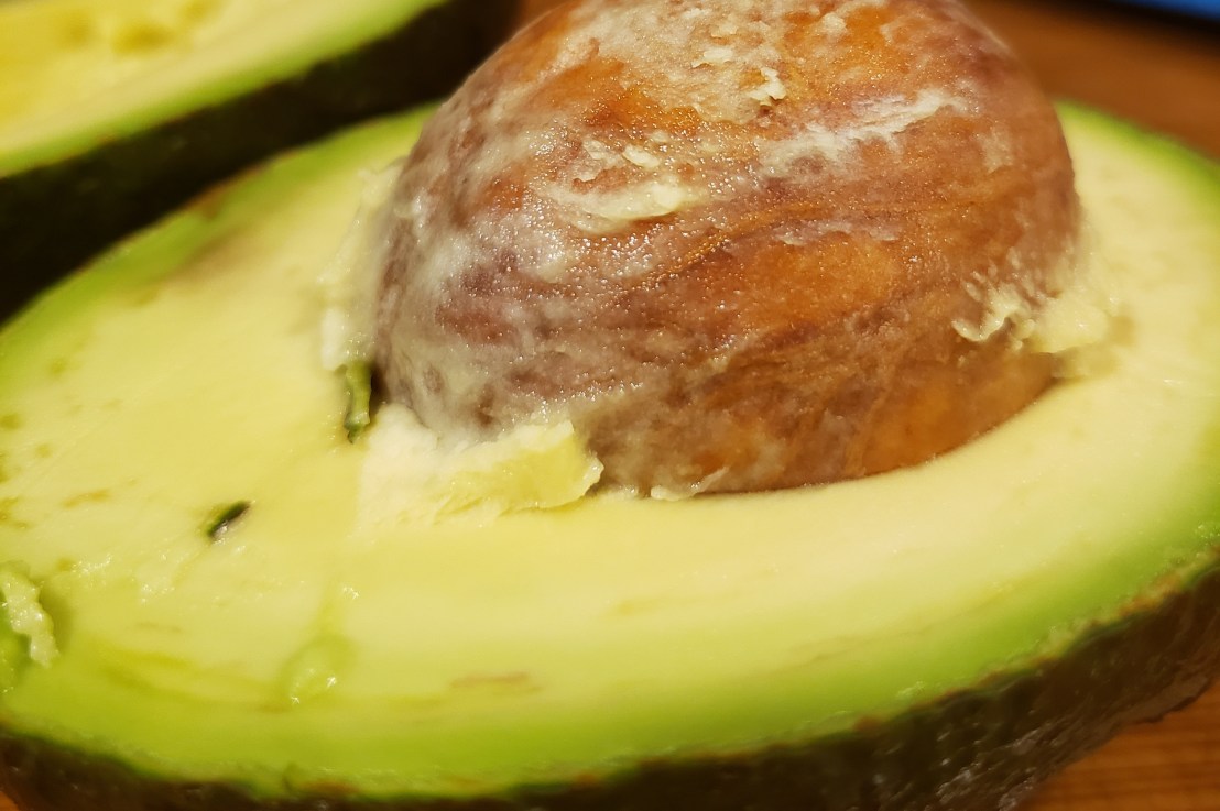 Week 16 –&nbsp;Avocado