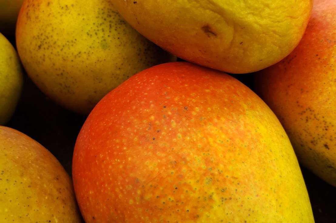 Week 19 –&nbsp;Mango