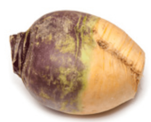 Week 27 –&nbsp;Rutabaga