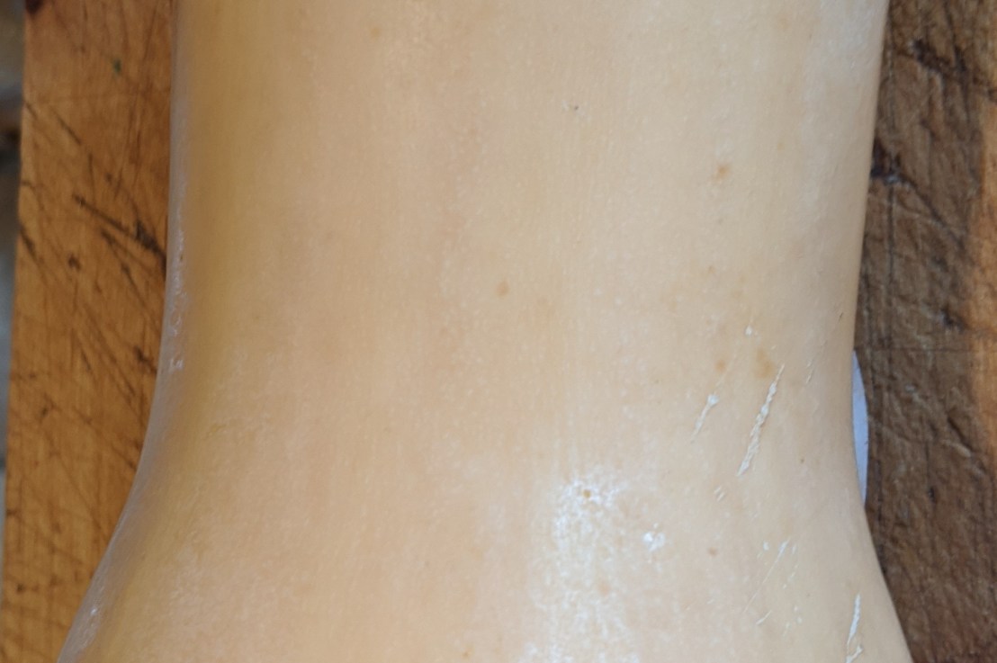 Week 34 – Butternut&nbsp;Squash